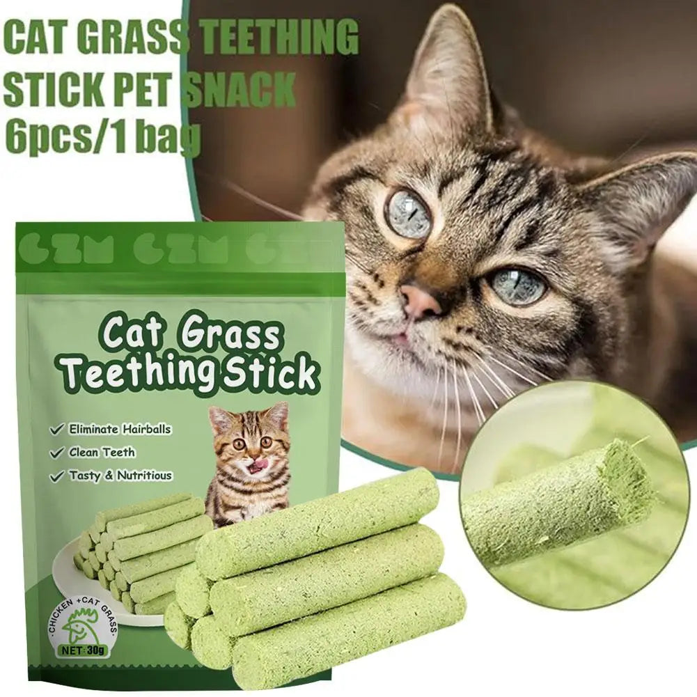 Cat Grass Teeth Grinding Pet Snacks Hairball Kitten Removal Instant Kitten Removal Teeth Cat Mild Cleaning