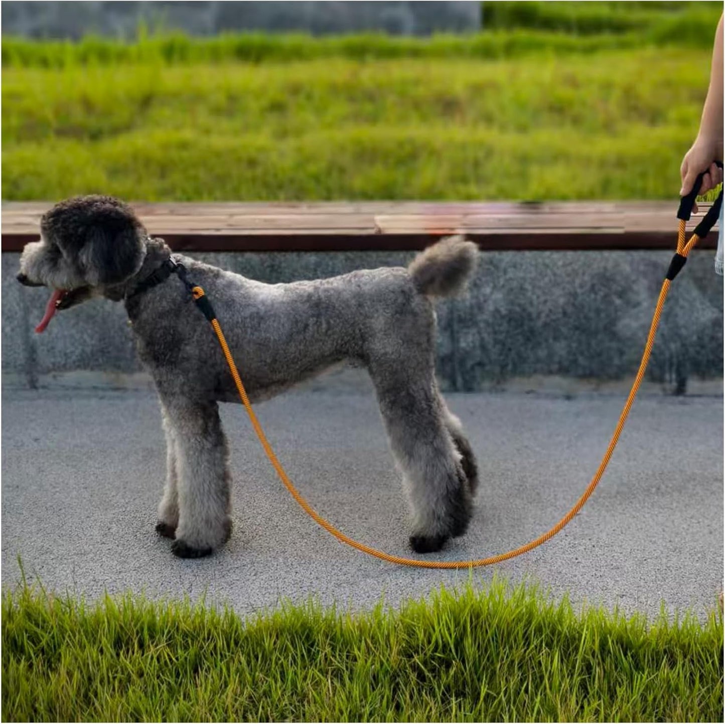 6FT Heavy Duty Rope Dog Leash – Durable Nylon Pet Lead with Soft Padded Handle, 1/2'' Thick, for Medium & Large Dogs (Orange)