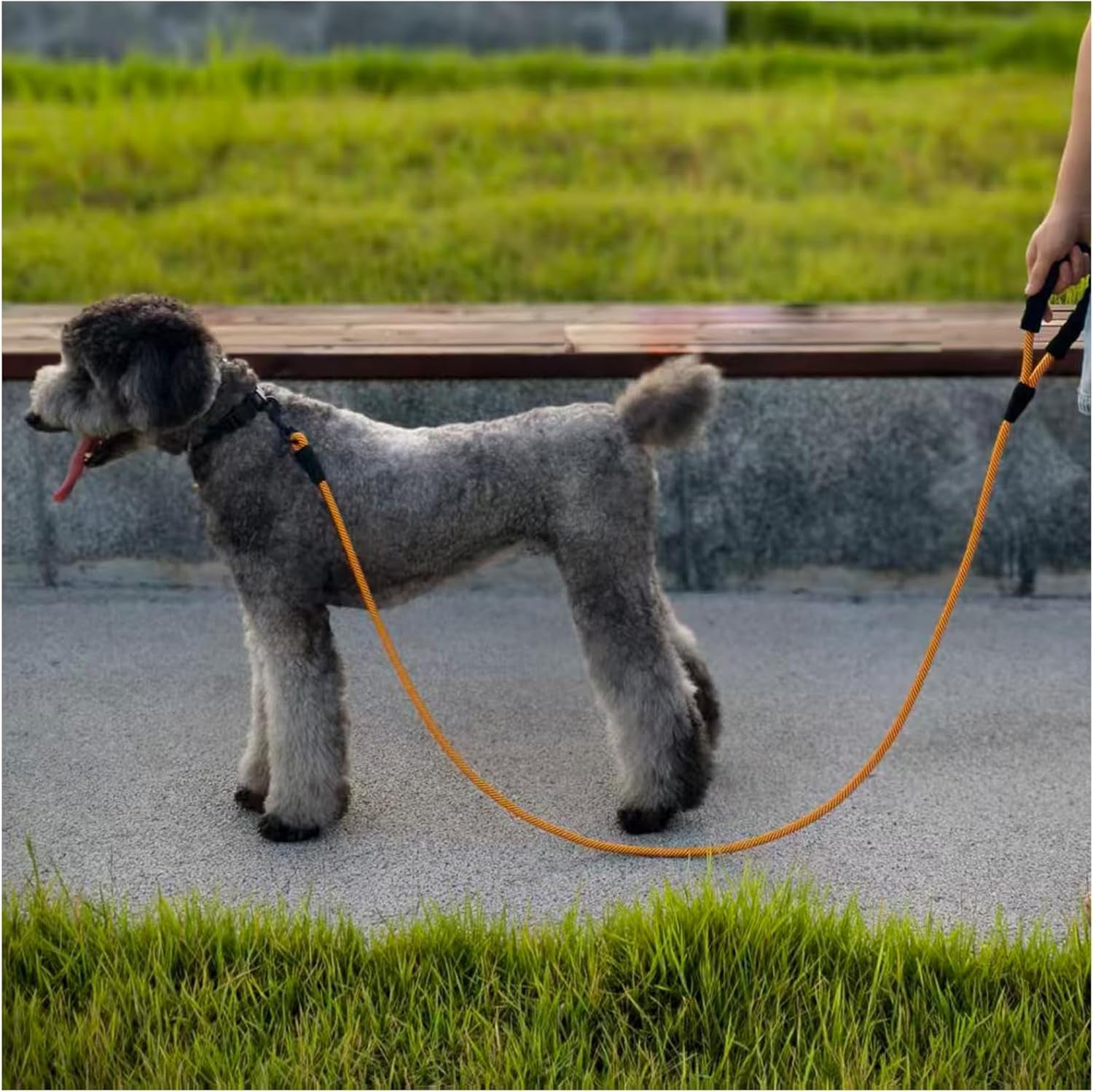 6FT Heavy Duty Rope Dog Leash – Durable Nylon Pet Lead with Soft Padded Handle, 1/2'' Thick, for Medium & Large Dogs (Orange)