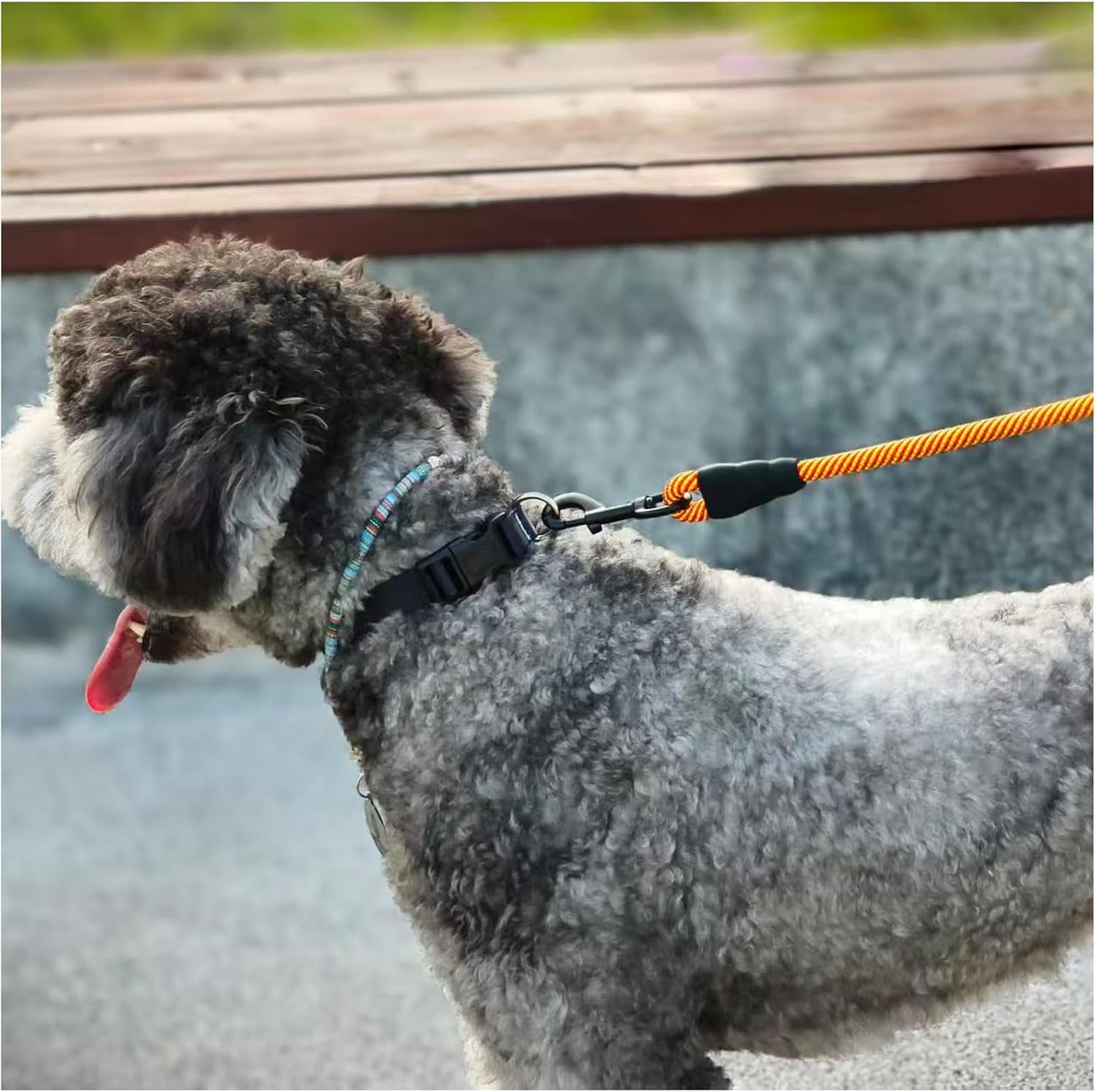6FT Heavy Duty Rope Dog Leash – Durable Nylon Pet Lead with Soft Padded Handle, 1/2'' Thick, for Medium & Large Dogs (Orange)