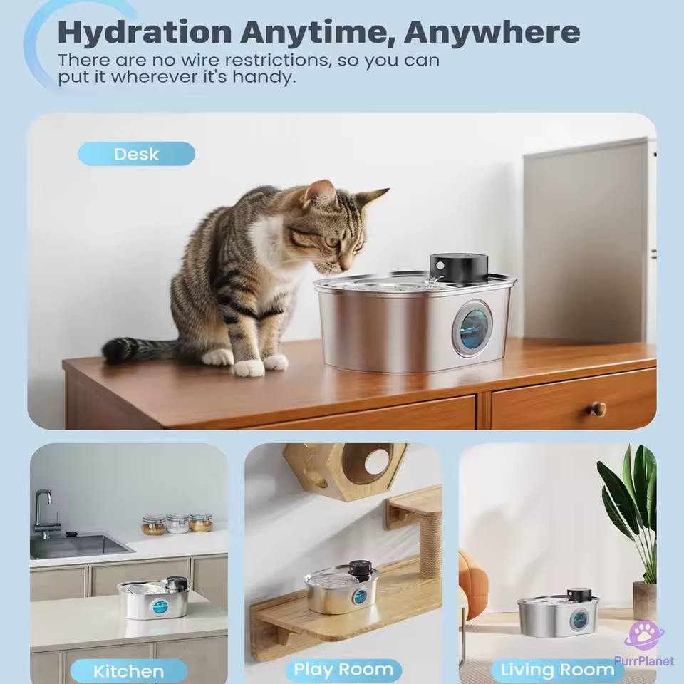 Premium Stainless Steel Pet Water Fountain – 3.2L, Rechargeable, Motion Sensor, Quiet & Easy to Clean