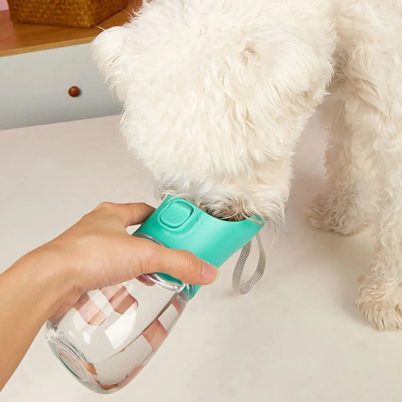 On-the-Go Pet Water Bottle – Fresh Hydration Anywhere