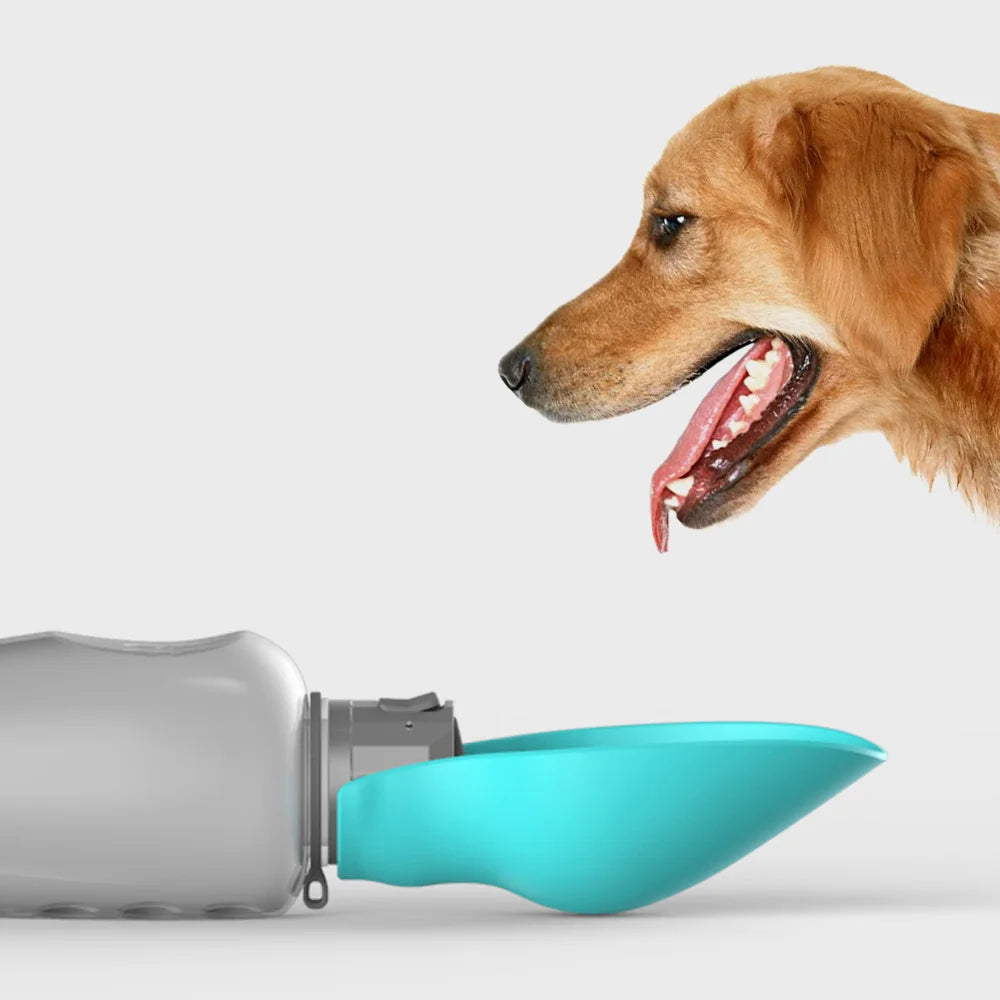 On-the-Go Pet Water Bottle – Fresh Hydration Anywhere